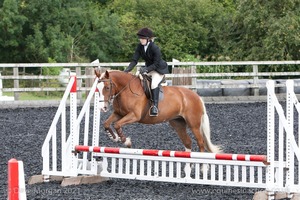 Class 3 -  Fences not above 2'3